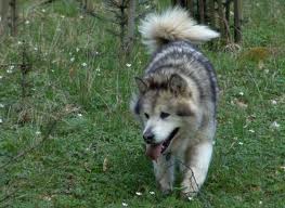 images (13)