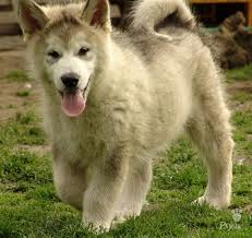 images (22)
