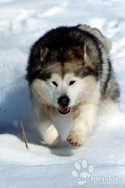 images (2)