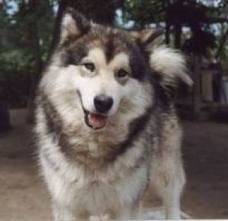 images (5)