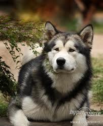 images (7)