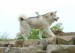 images (11)