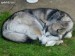 images (15)